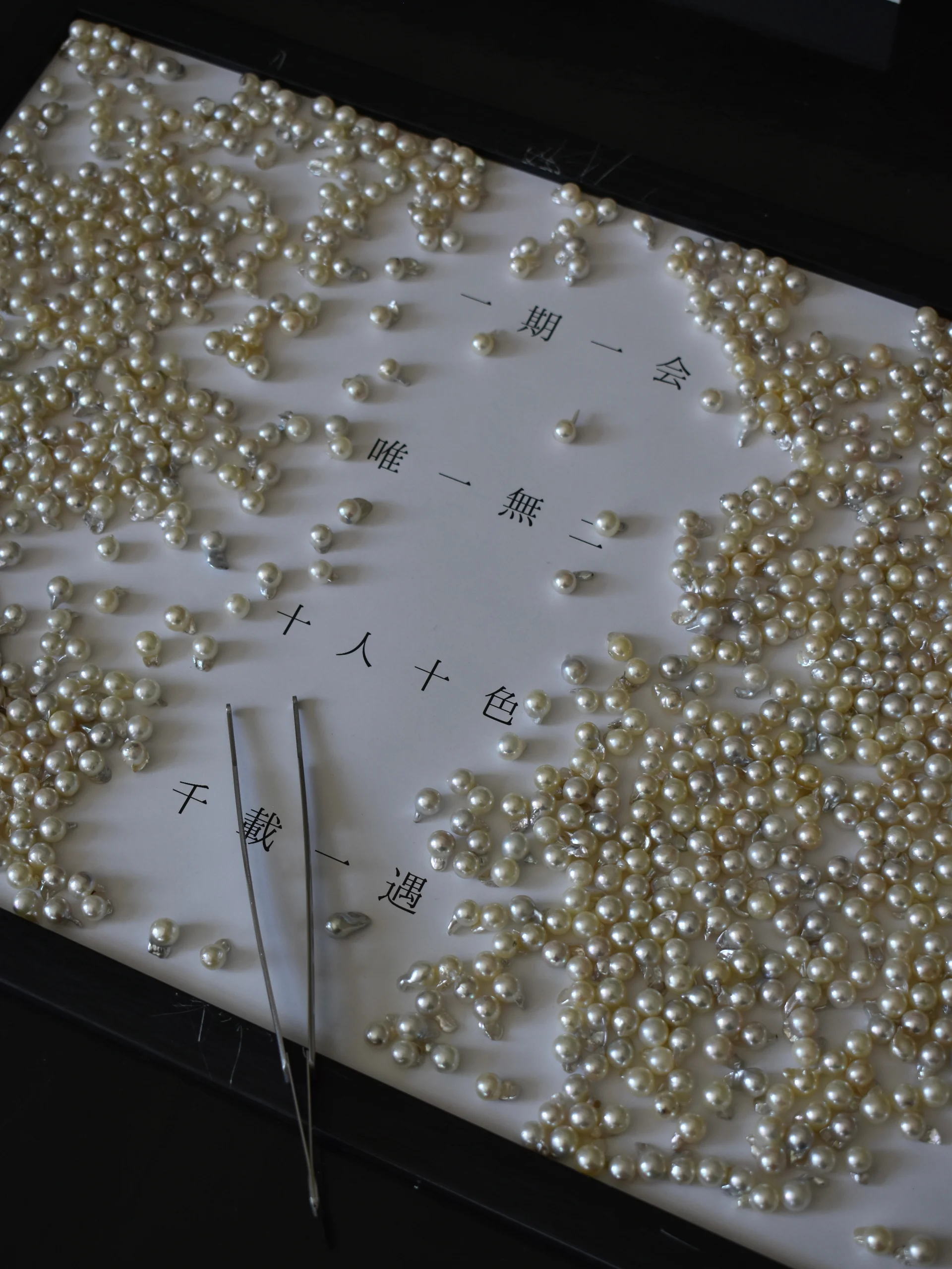 siren popup store 4