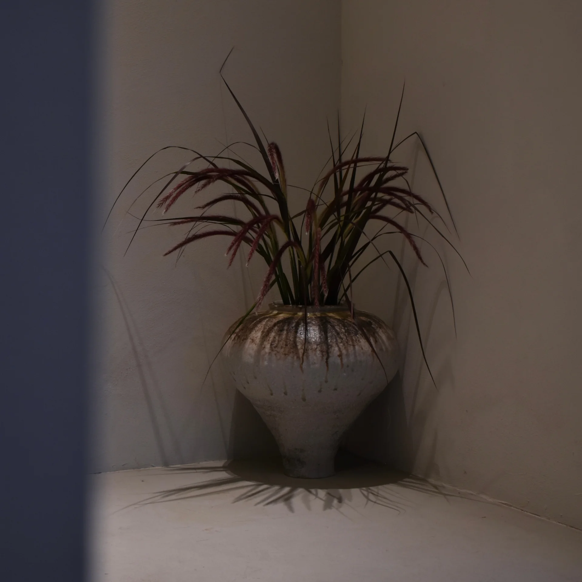 桑野 泰成 solo exhibition 3
