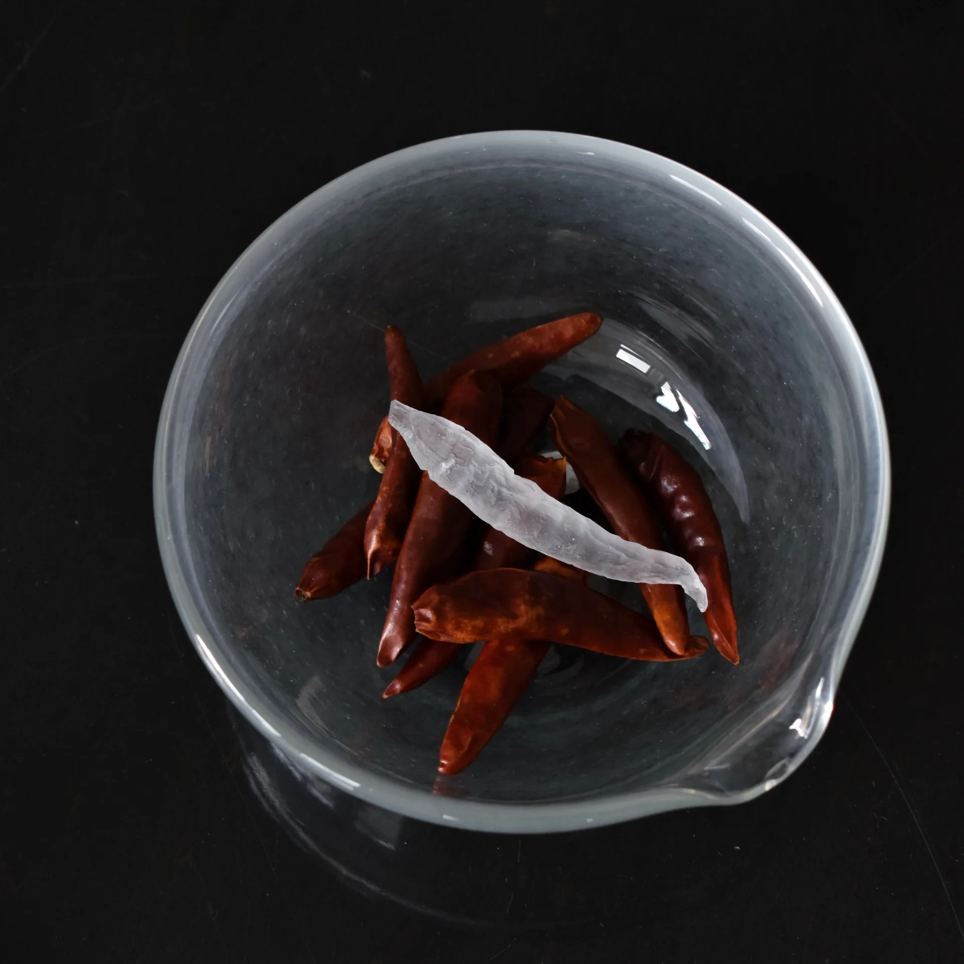 柴田 有紀 glass solo exhibition 5
